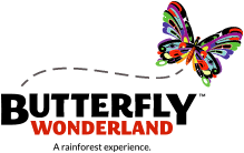Butterfly wonderland