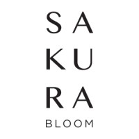 Sakura bloom